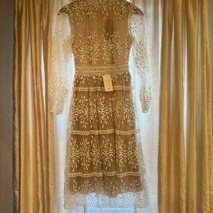 Ivy city co xxs dress. New with tags.